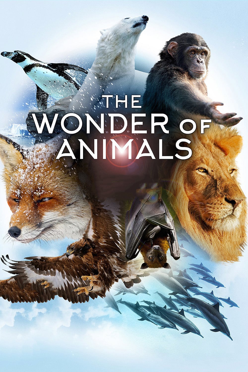 Caratula de THE WONDER OF ANIMALS 