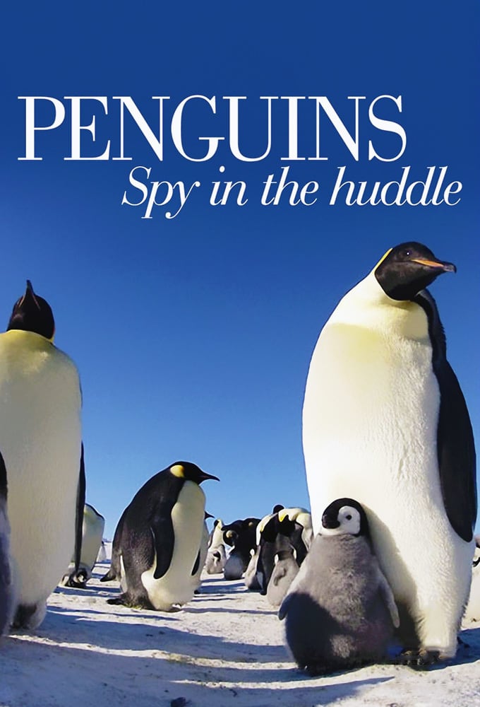 Caratula de PENGUINS – SPY IN THE HUDDLE 