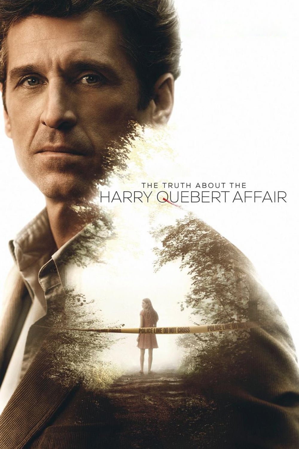 Caratula de The truth about the Harry Quebert affair 
