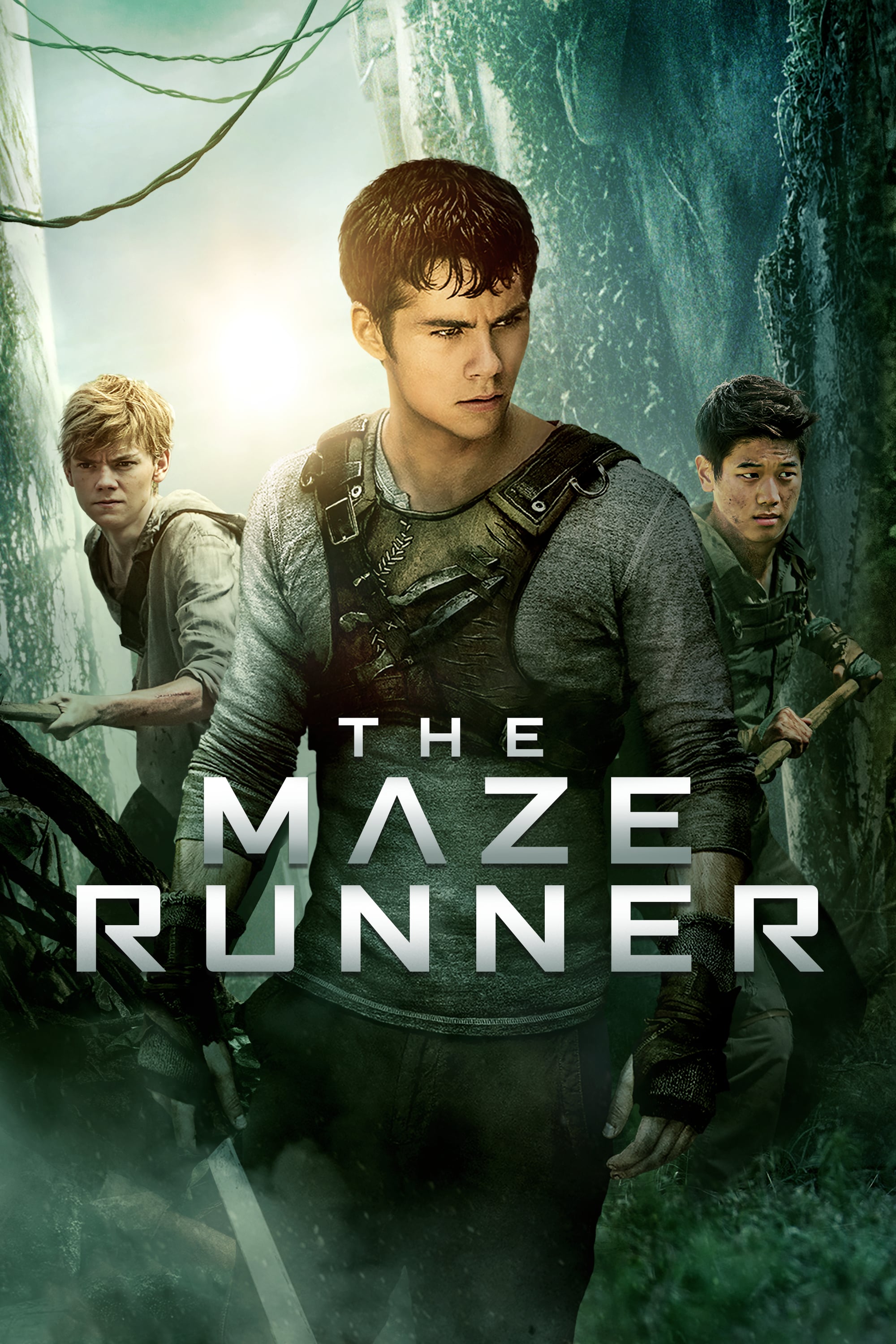 Caratula de Maze 