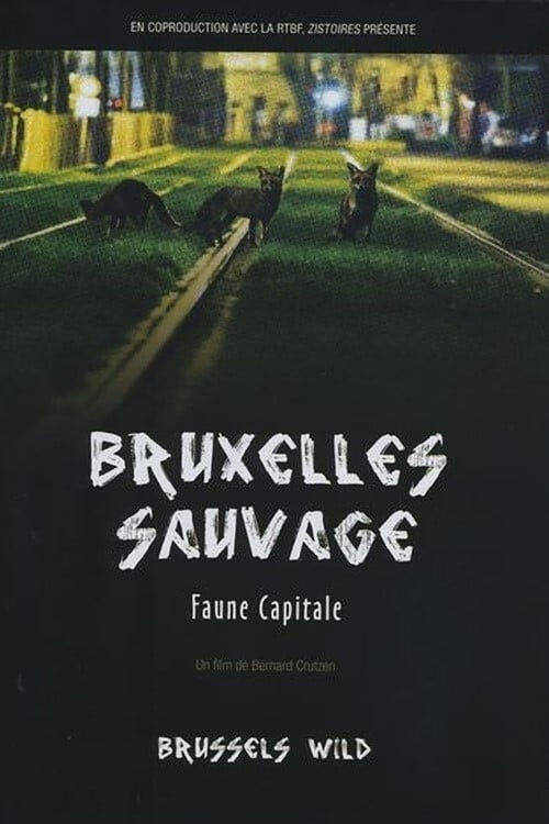 Caratula de Bruxelles sauvage, faune capitale 
