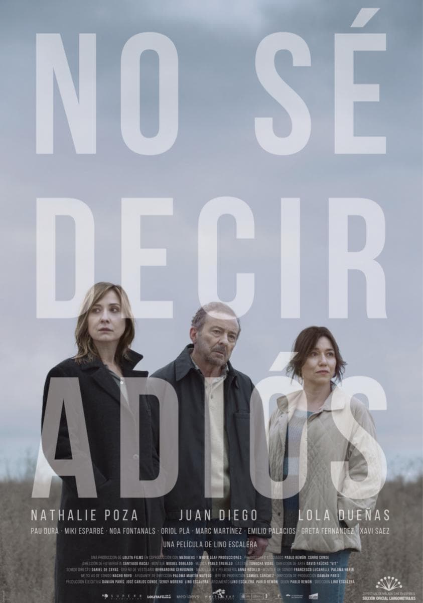 Caratula de No sé decir adiós 