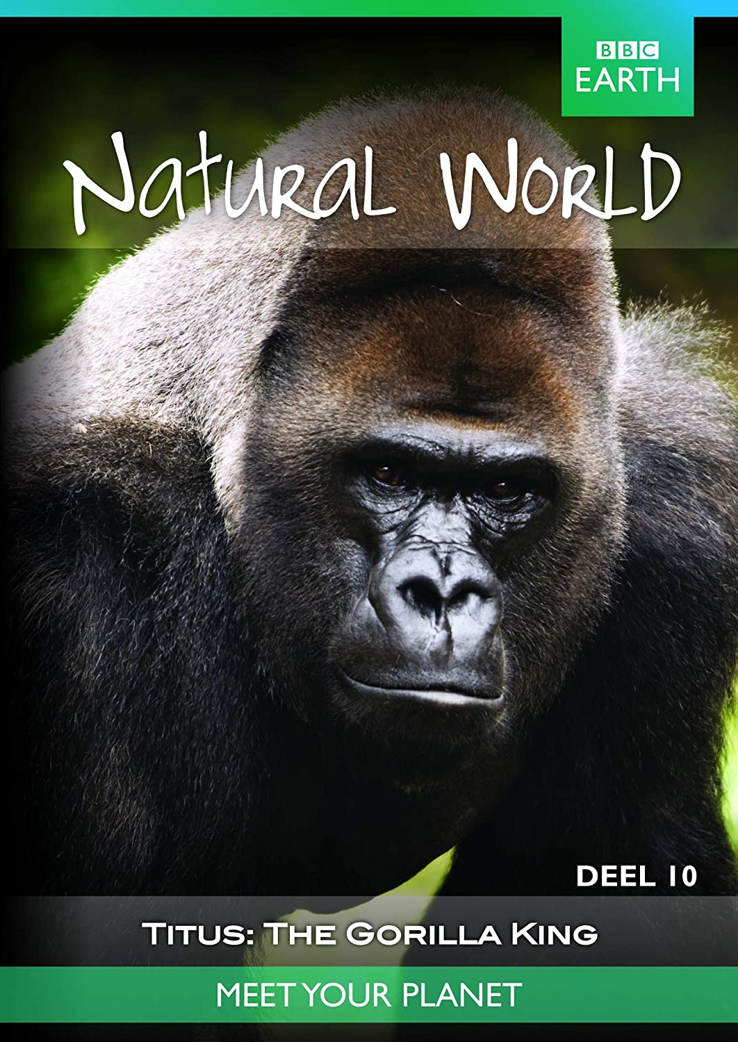 Caratula de Titus, The gorilla King 