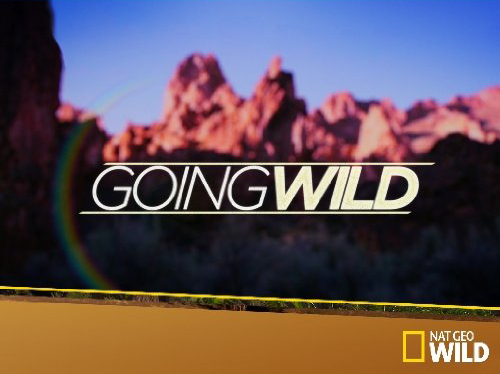 Caratula de Going Wild 