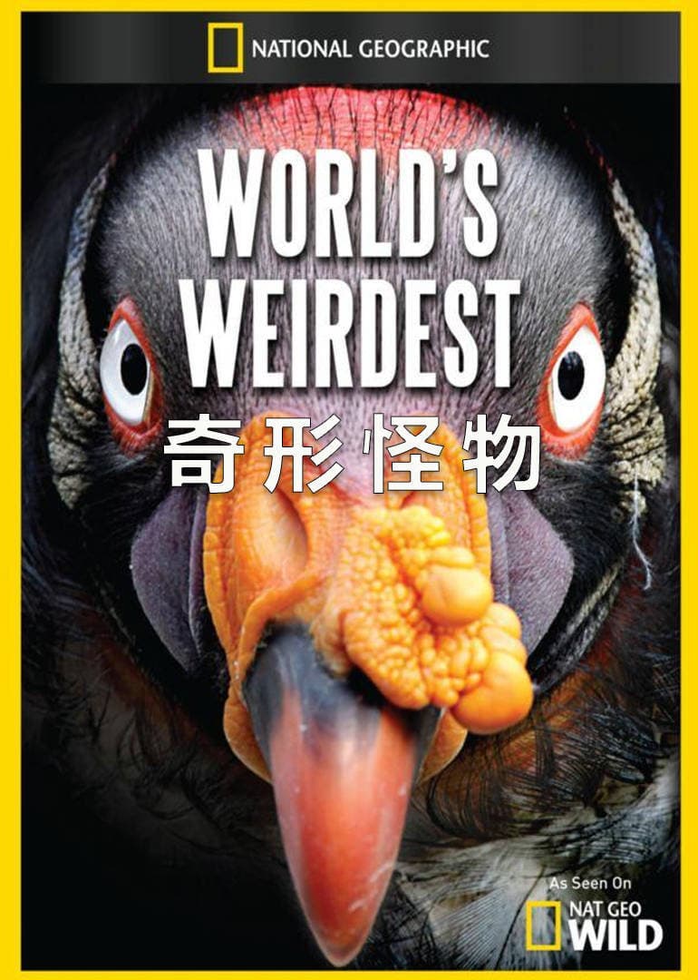 Caratula de World’s Weirdest