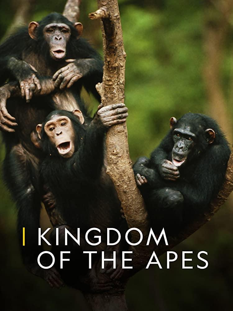 Kingdom of the Apes