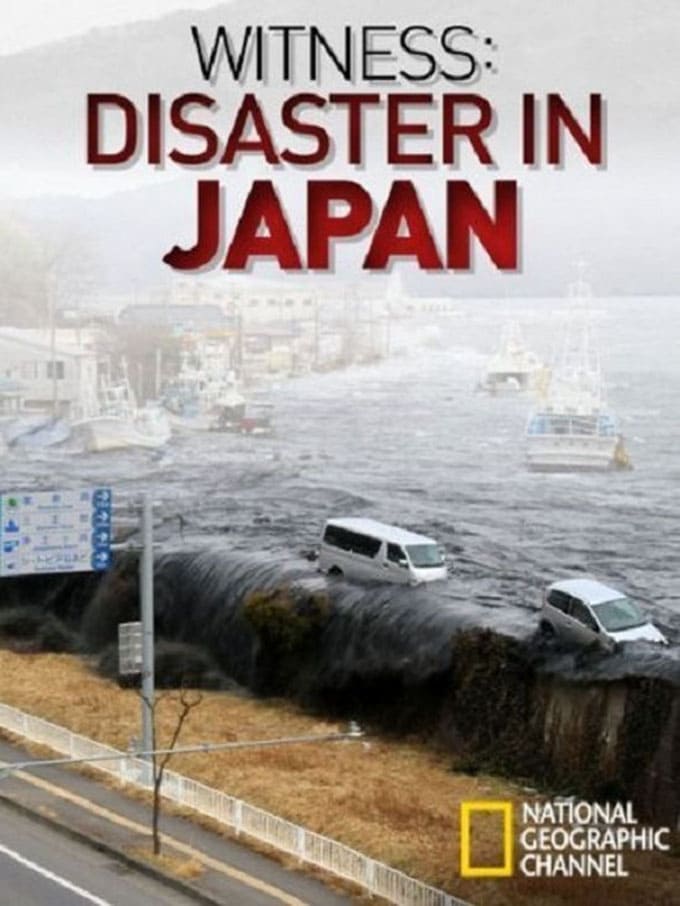 Caratula de Witness, Disaster in Japan