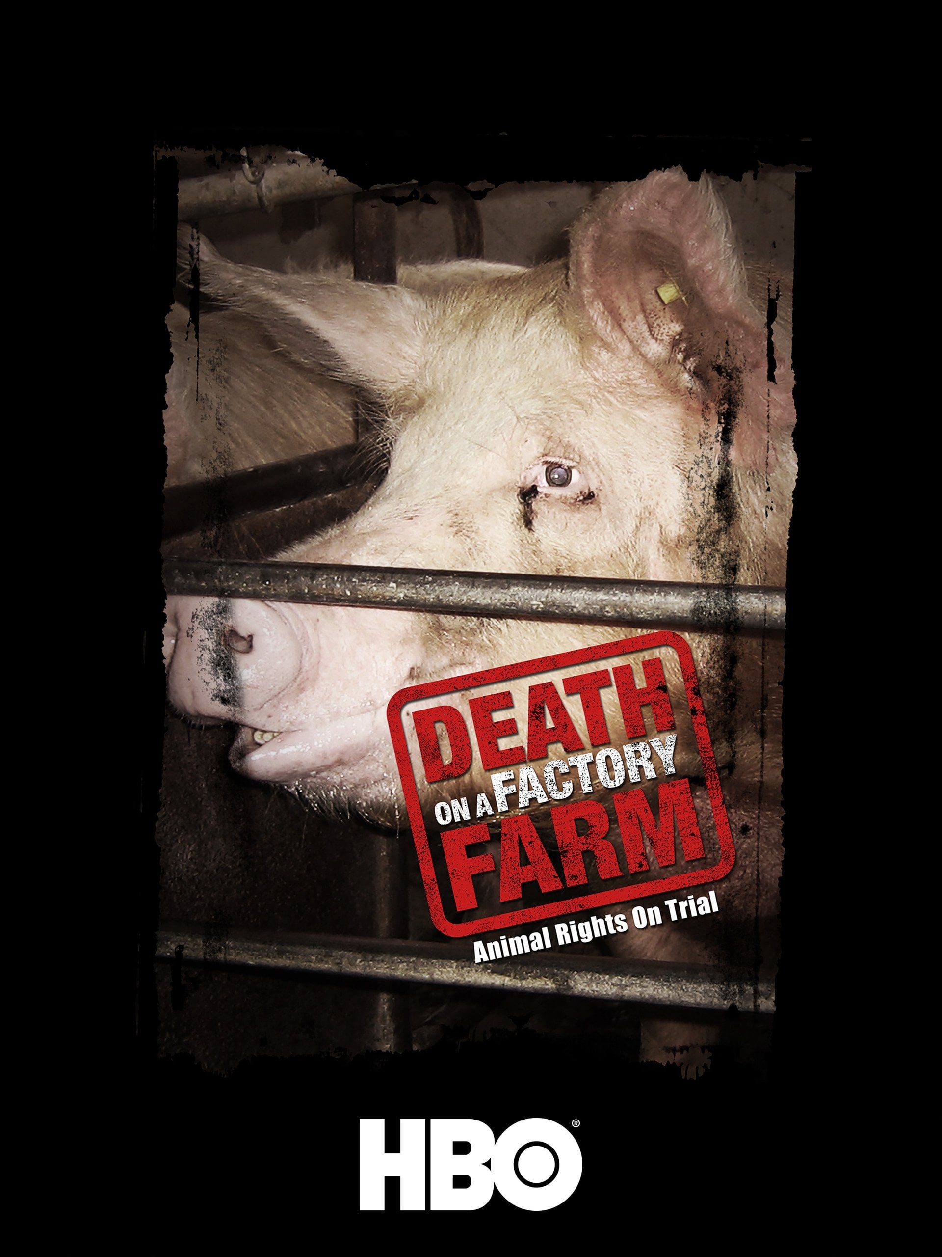 Caratula de Death on a Factory Farm 