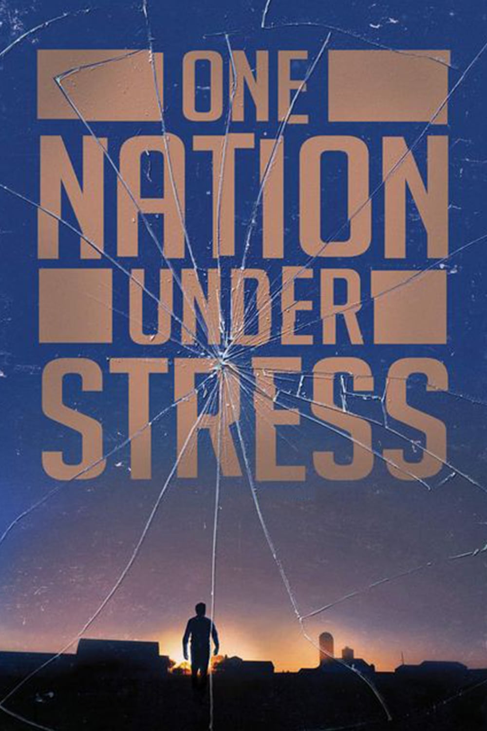 Caratula de One Nation Under Stress 