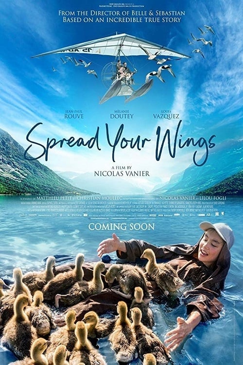 Caratula de DONNE MOI DES AILES 