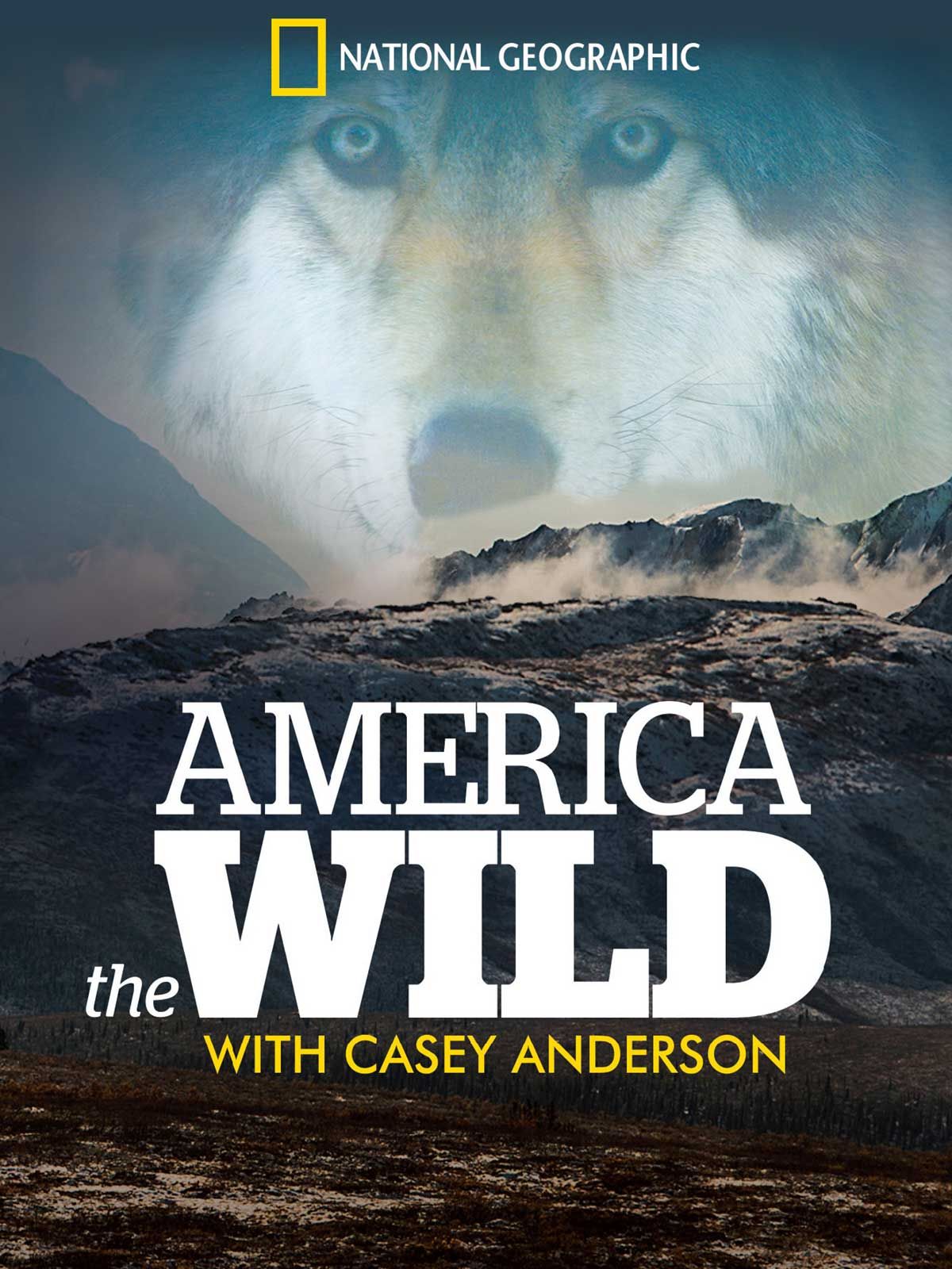 Caratula de America the Wild III 