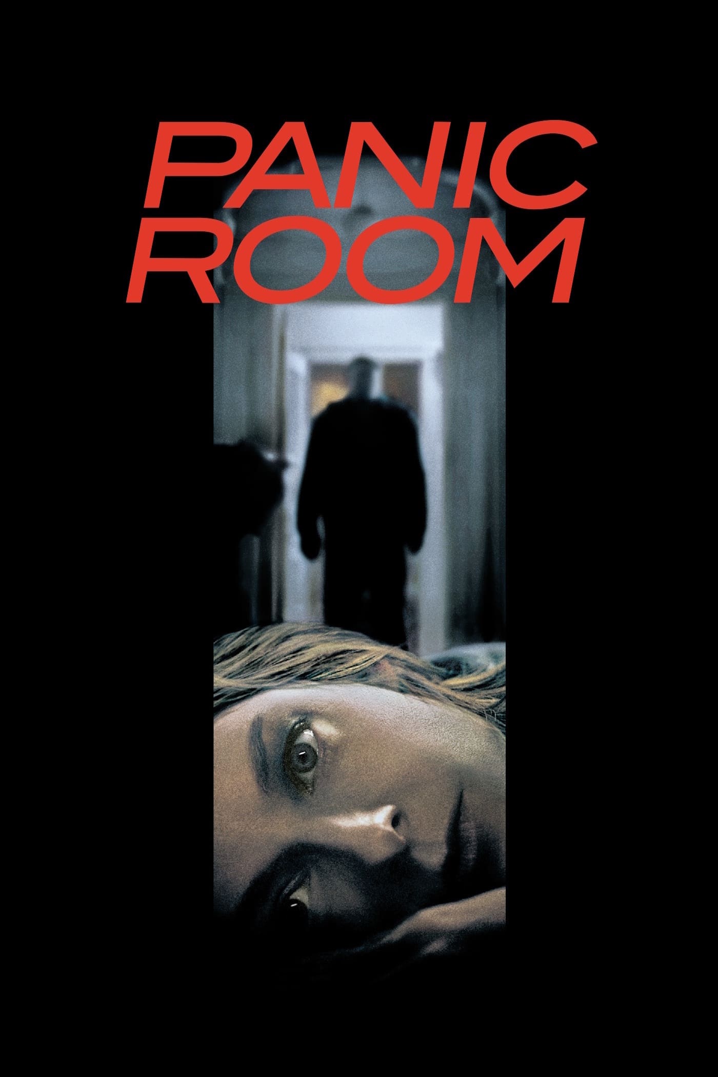 Caratula de PANIC ROOM 