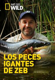 Caratula de Zeb’s Big Fish: Hammerhead Invasion 