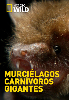 Caratula de GIANT CARNIVOROUS BATS 