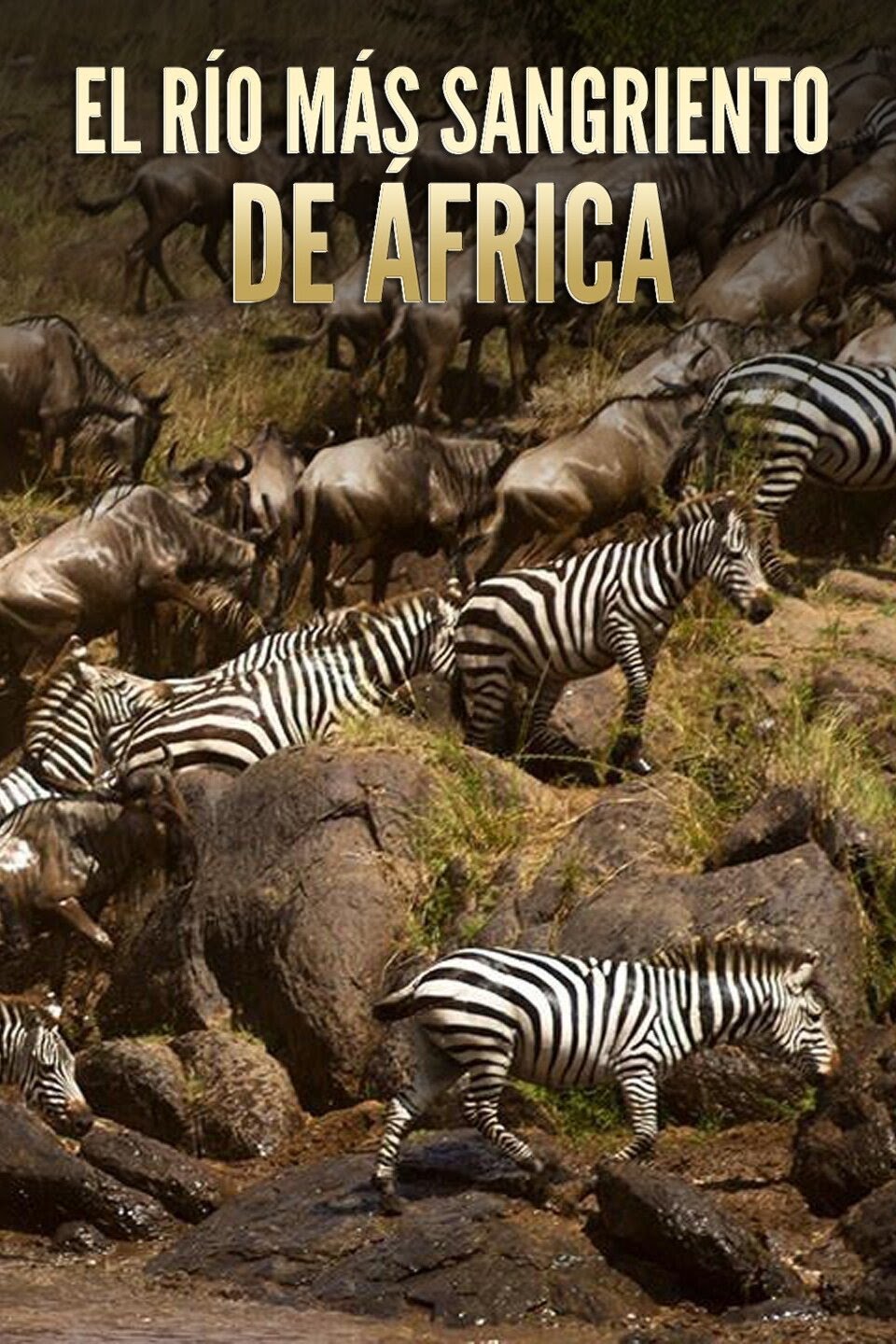 Africa's Blood River