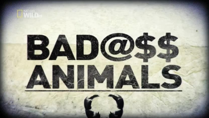 Caratula de Badass Animals 