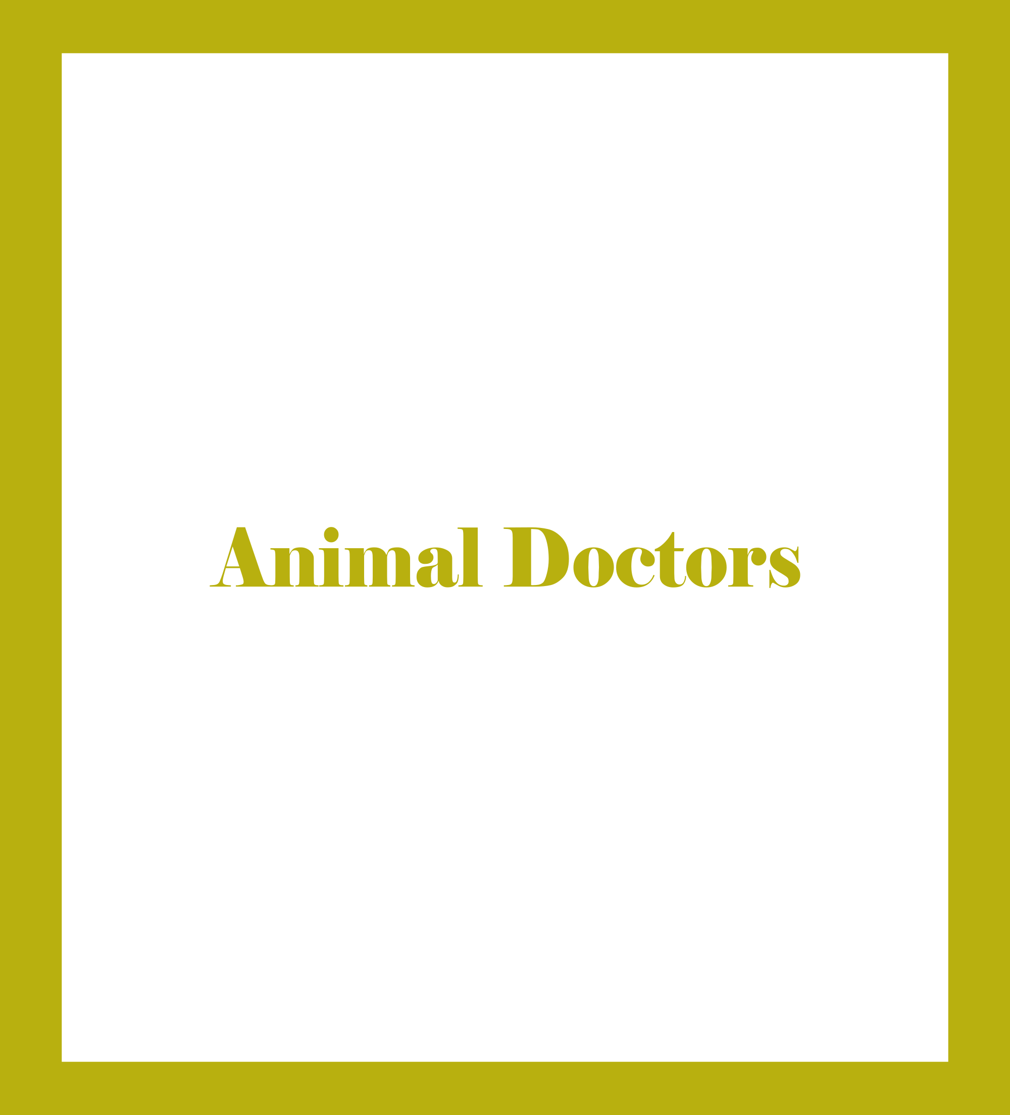 Caratula de Animal Doctors 