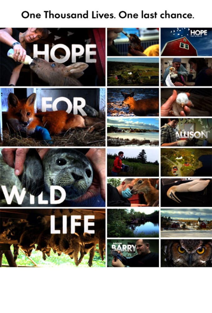 Caratula de HOPE FOR WILDLIFE 
