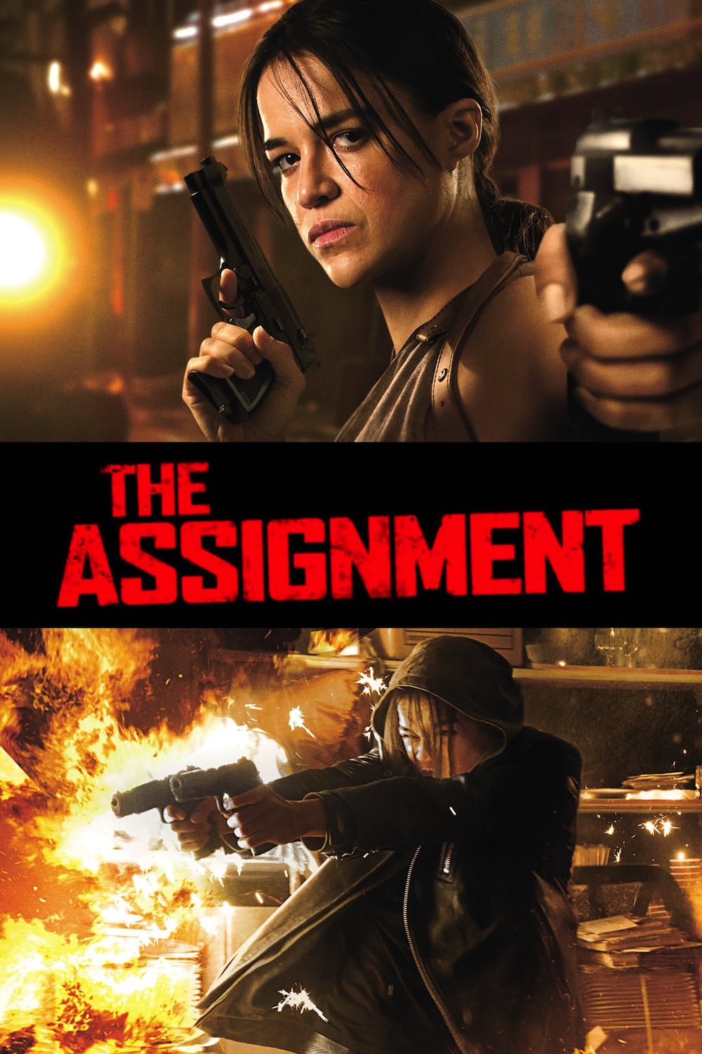 Caratula de THE ASSIGNMENT
