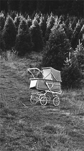 Caratula de Christmas at Starcross 