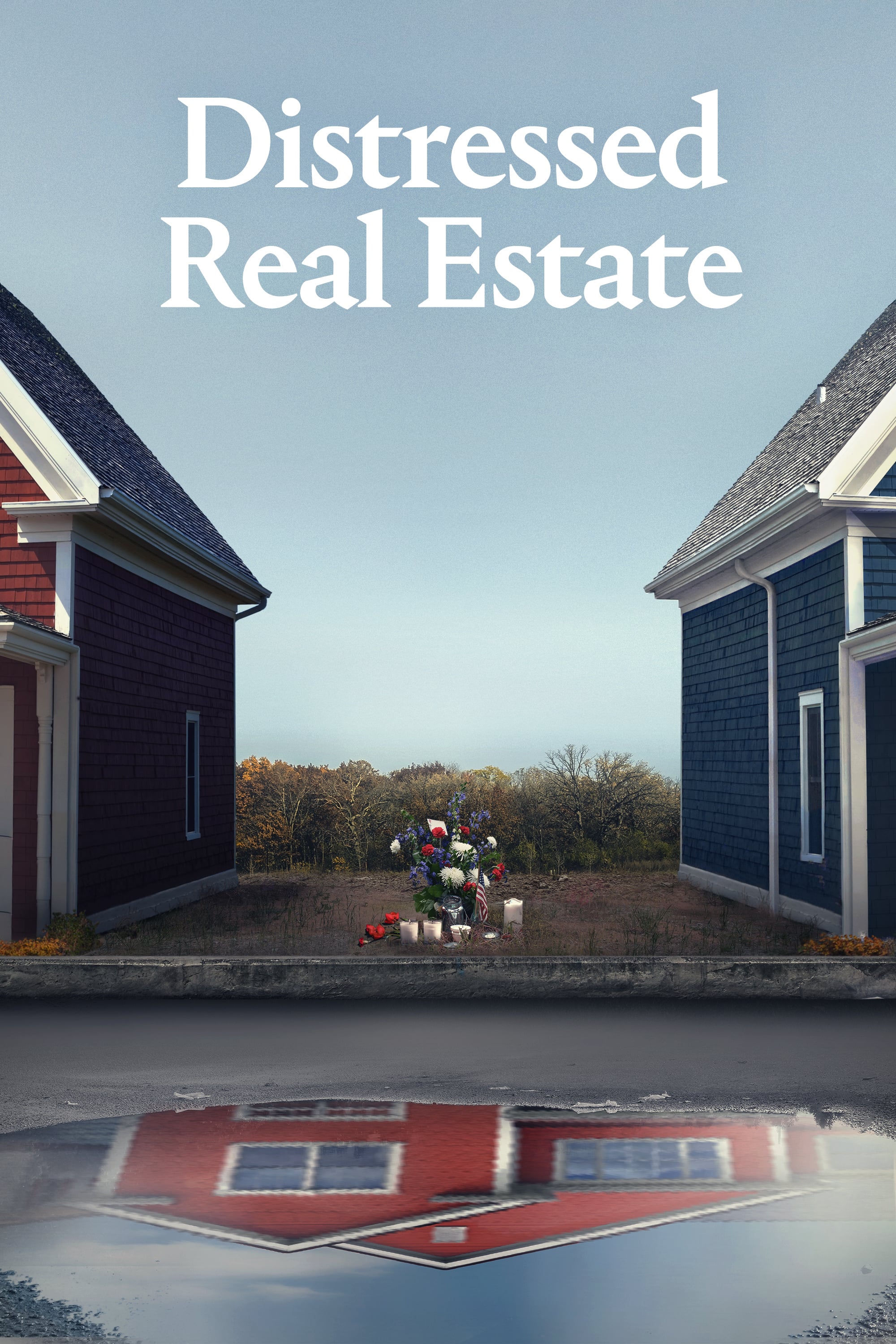 Caratula de REAL ESTATE 