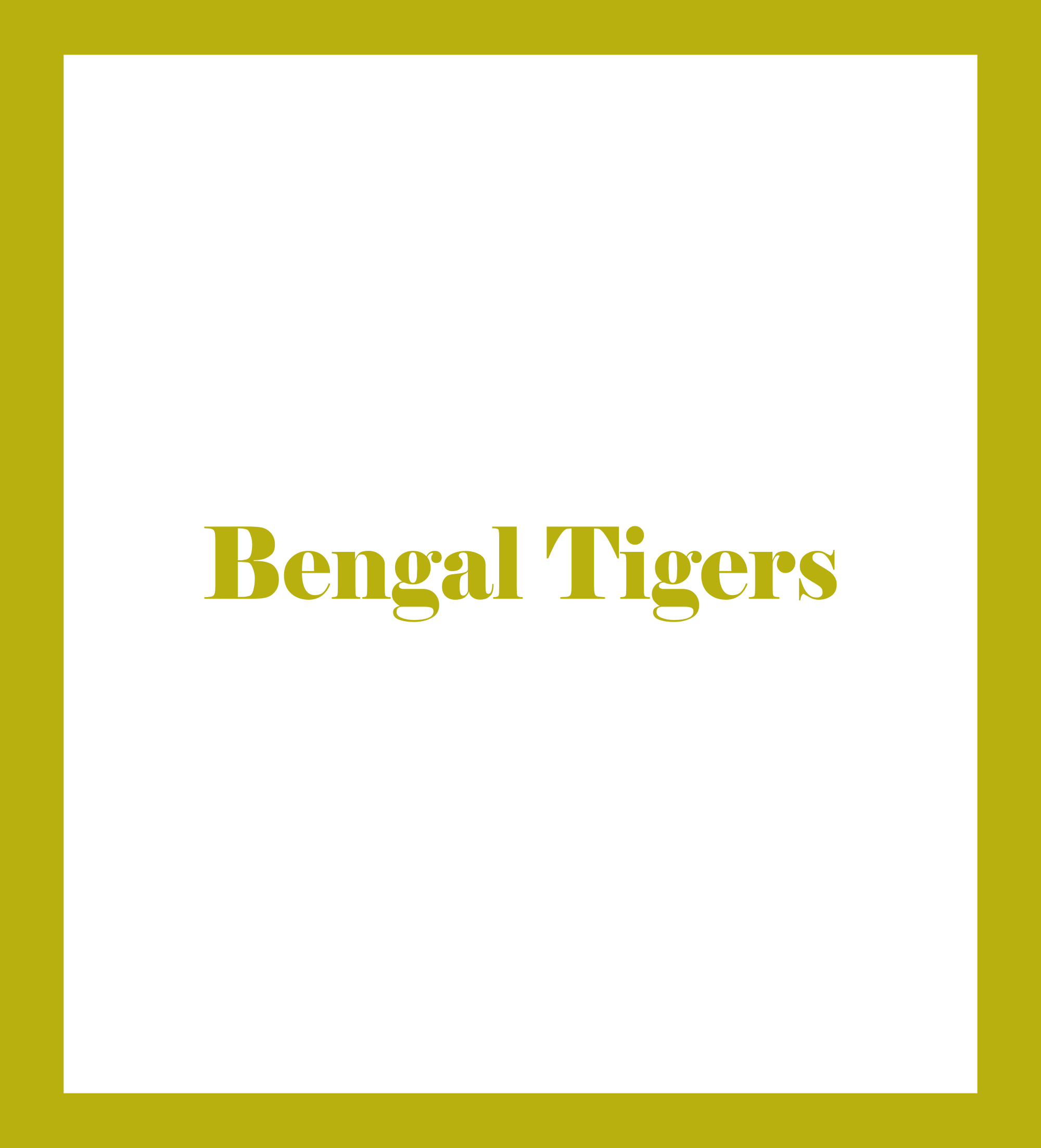 Caratula de Bengal Tigers 