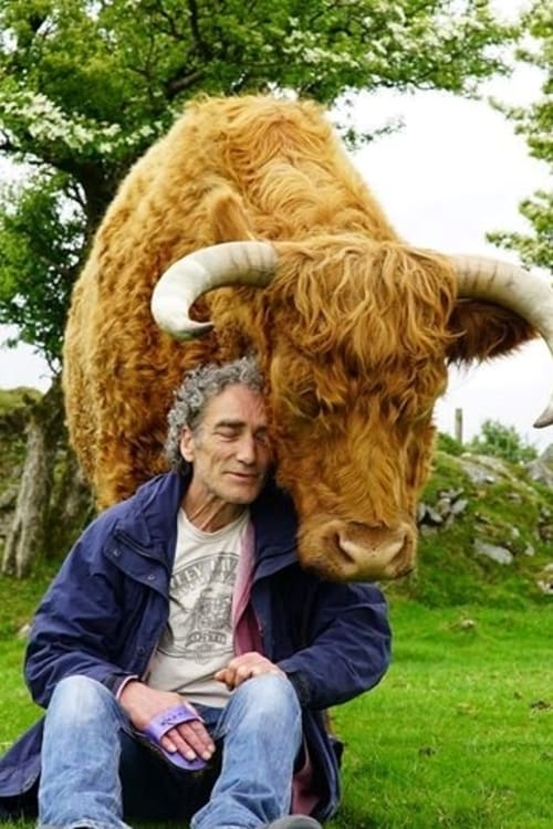 Caratula de TONY AND THE BULL 