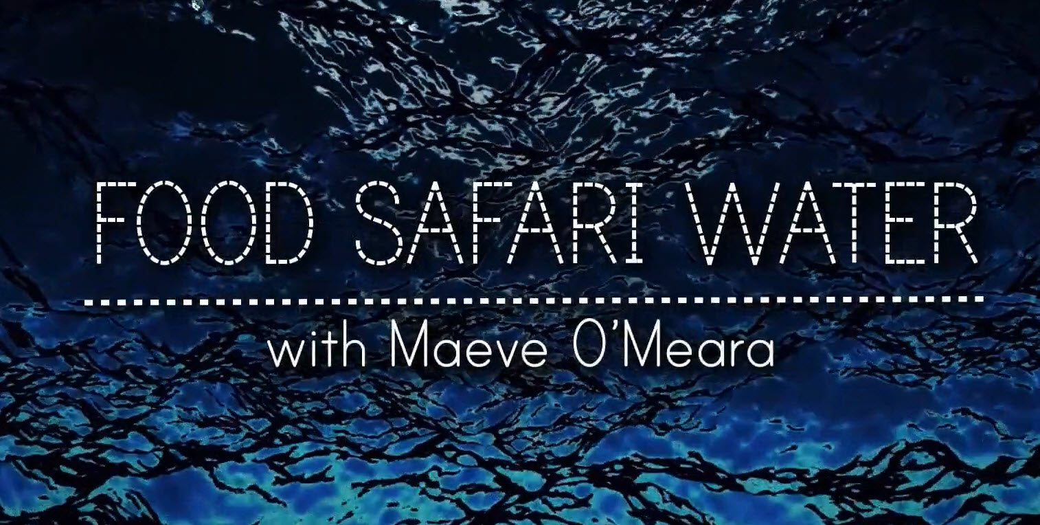 Caratula de Food Safari Water 