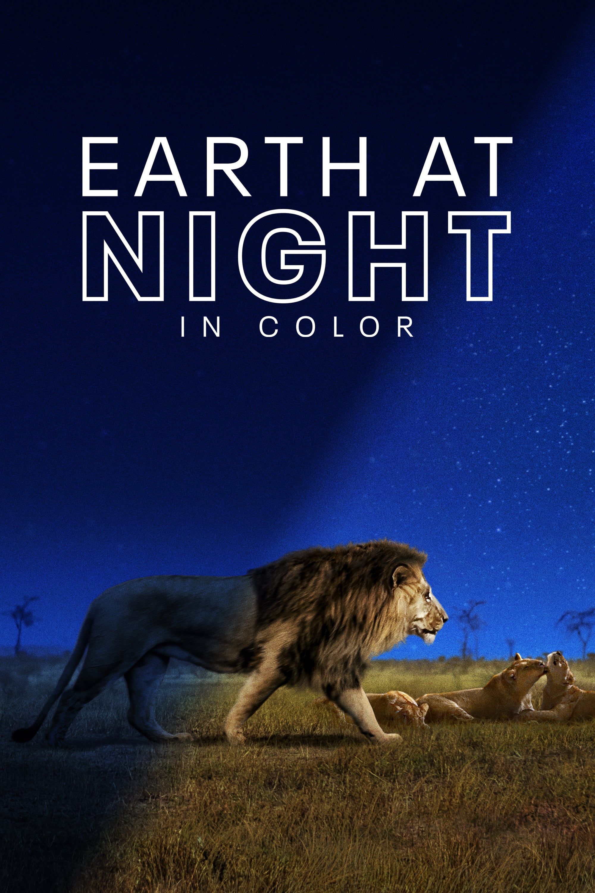 Caratula de Earth at Night in Color