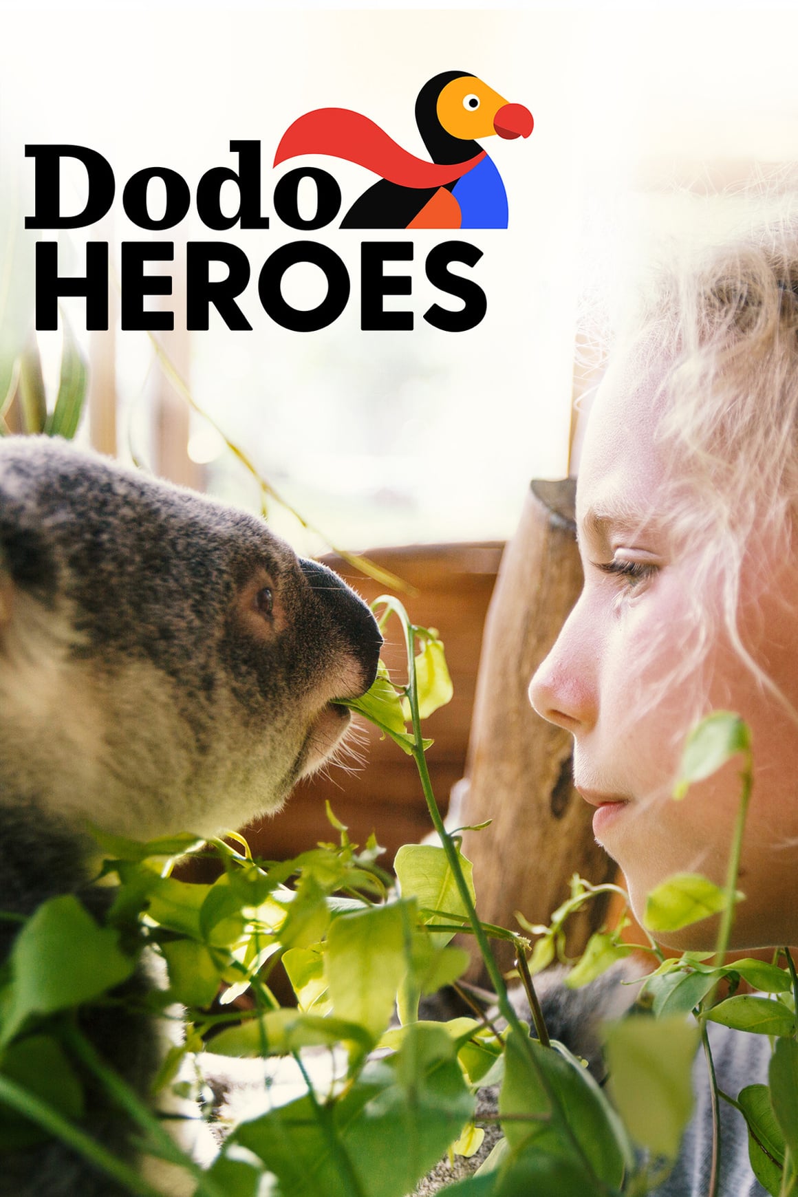Caratula de Dodo Heroes 