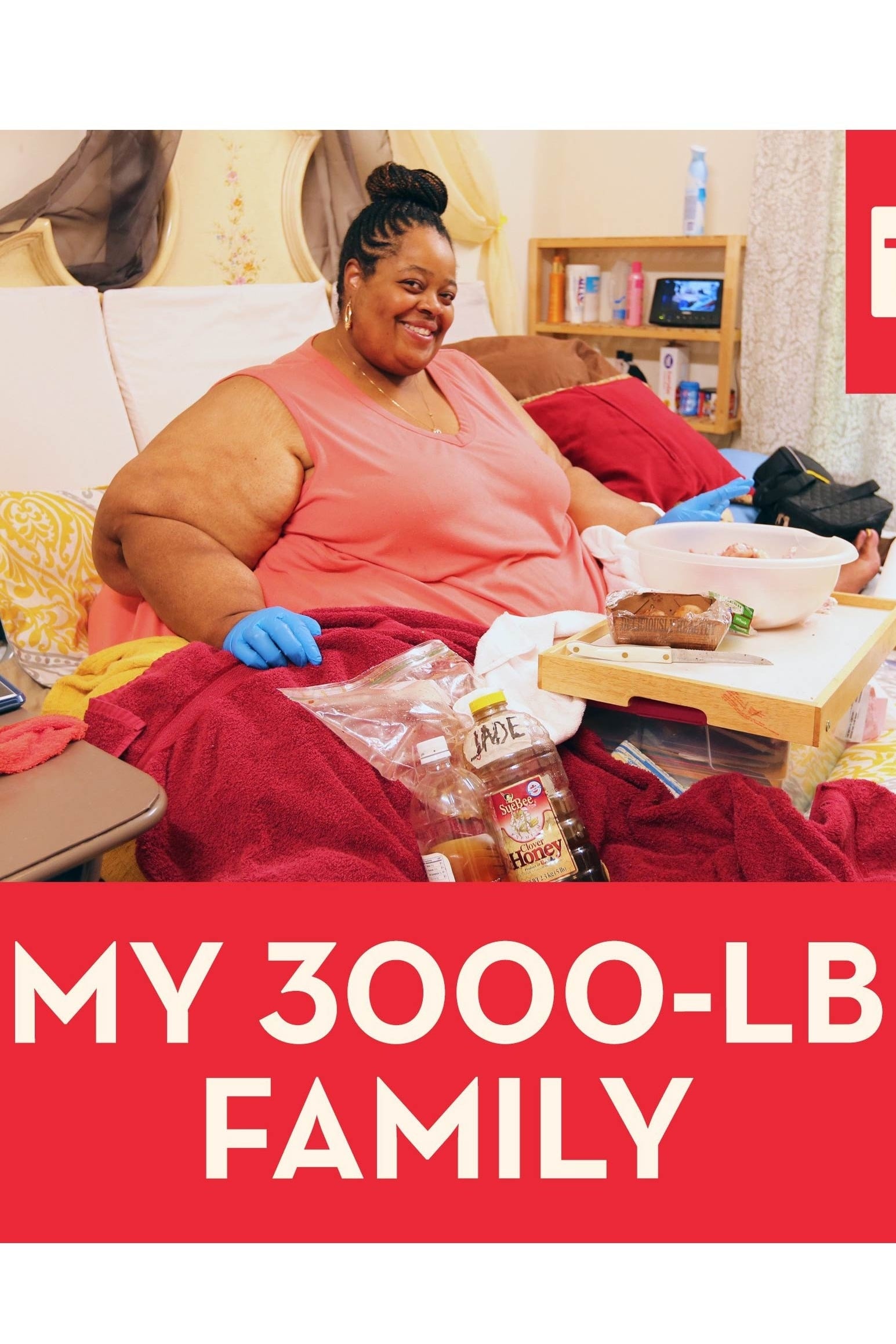 Caratula de My 3000lb Family 