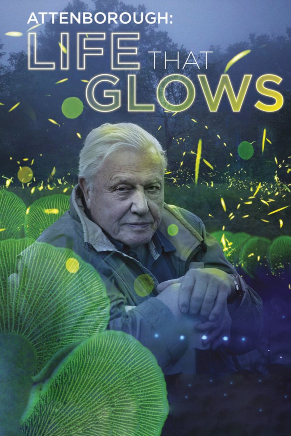 Caratula de Attenborough’s Life That Glows 