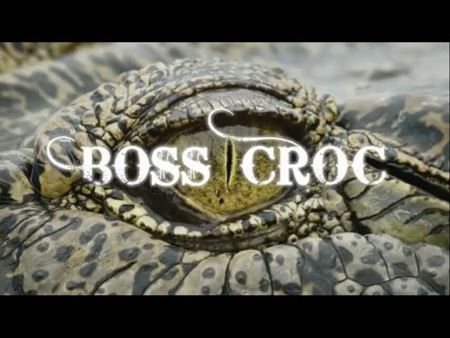 Caratula de Boss Croc 