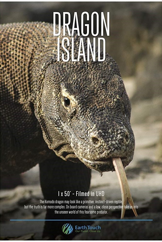 Caratula de DRAGON ISLAND
