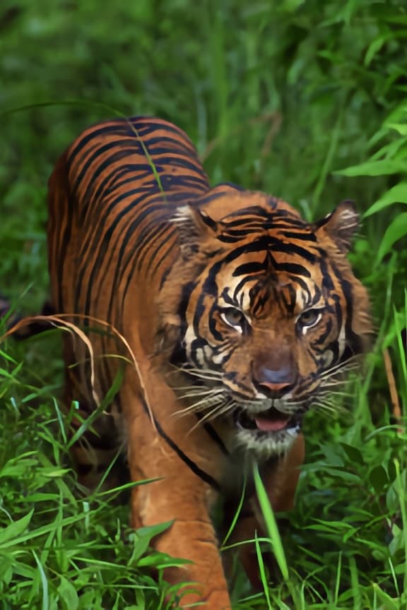 WORLD S DEADLIEST ANIMALS