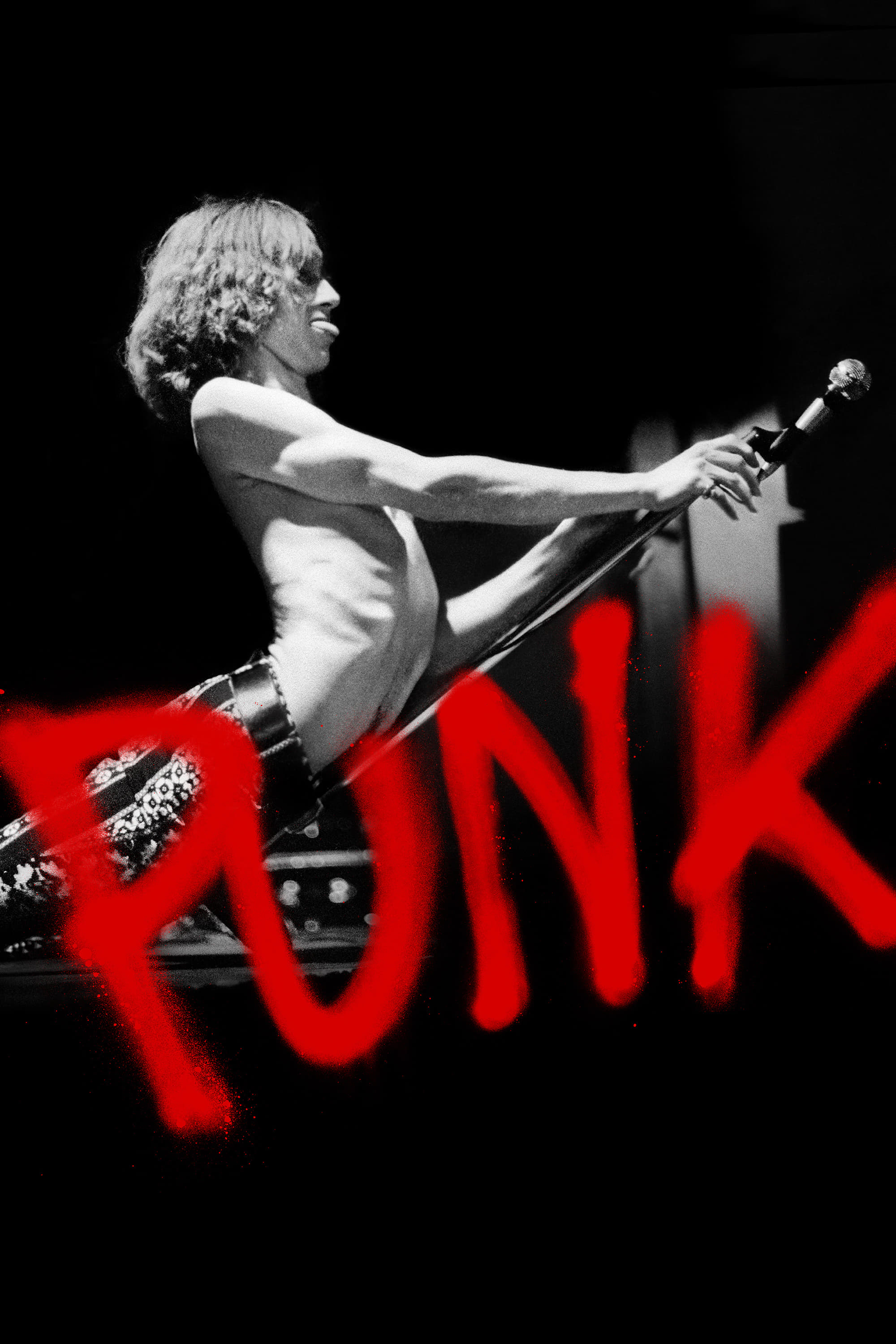 Caratula de Punk 