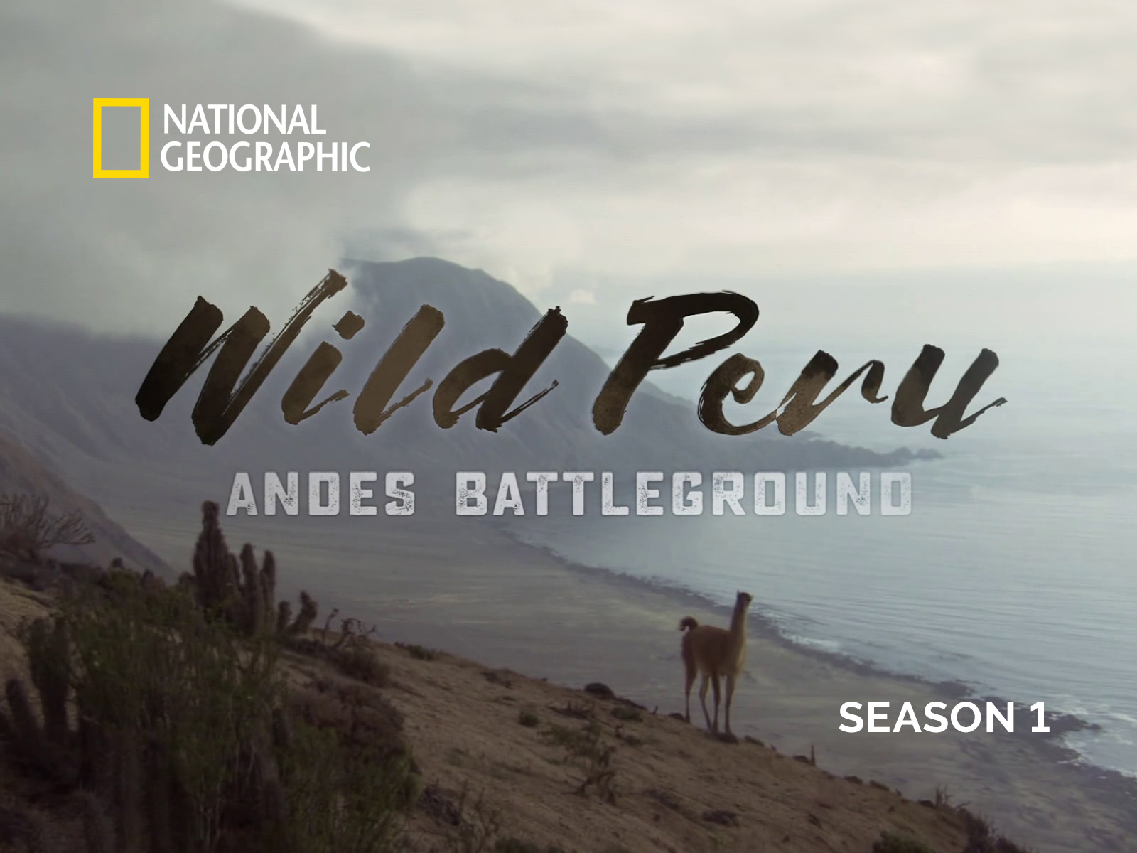 Caratula de Wild Peru: Andes Battleground
