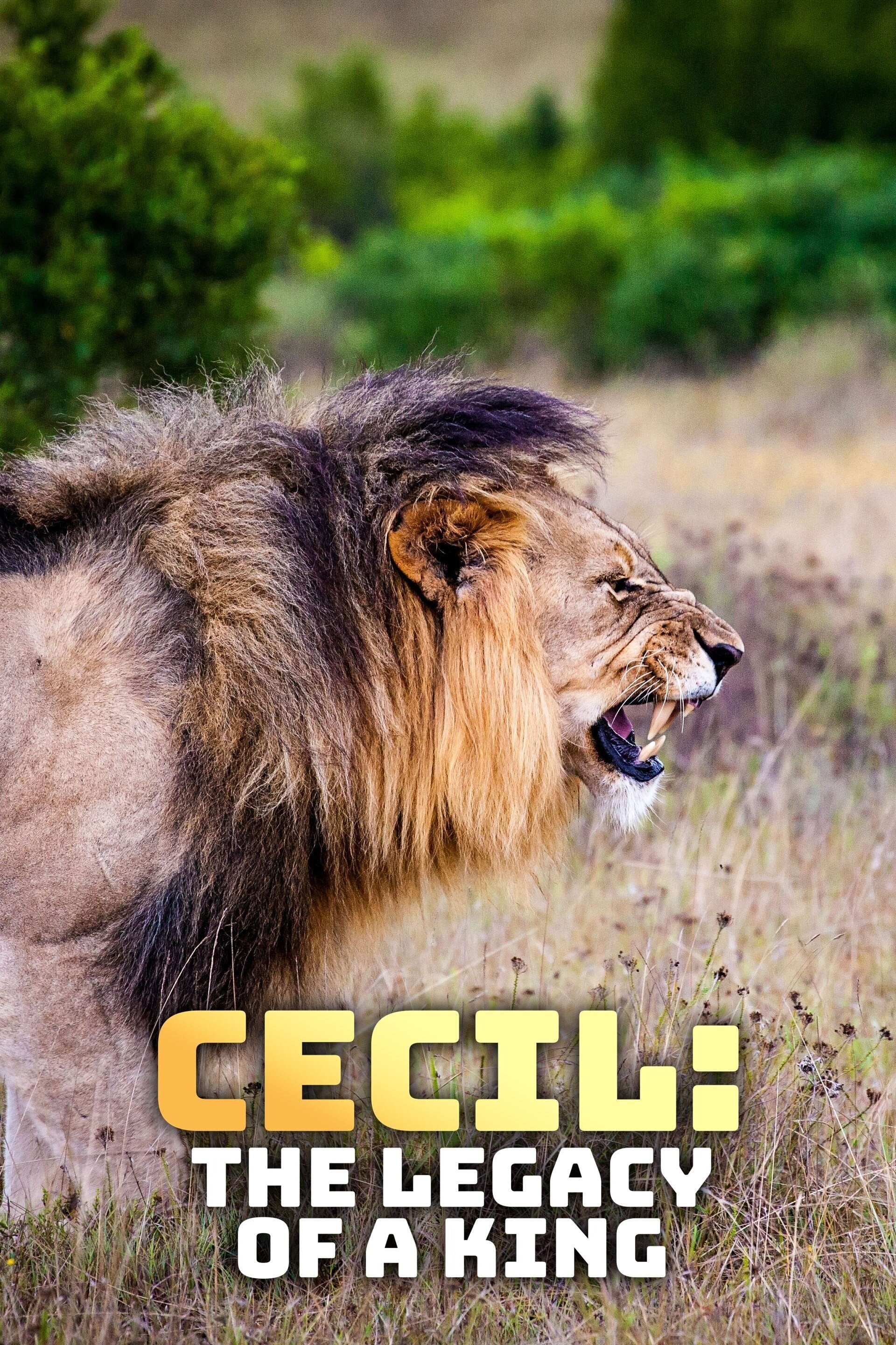 Caratula de Cecil: The Legacy of a King 
