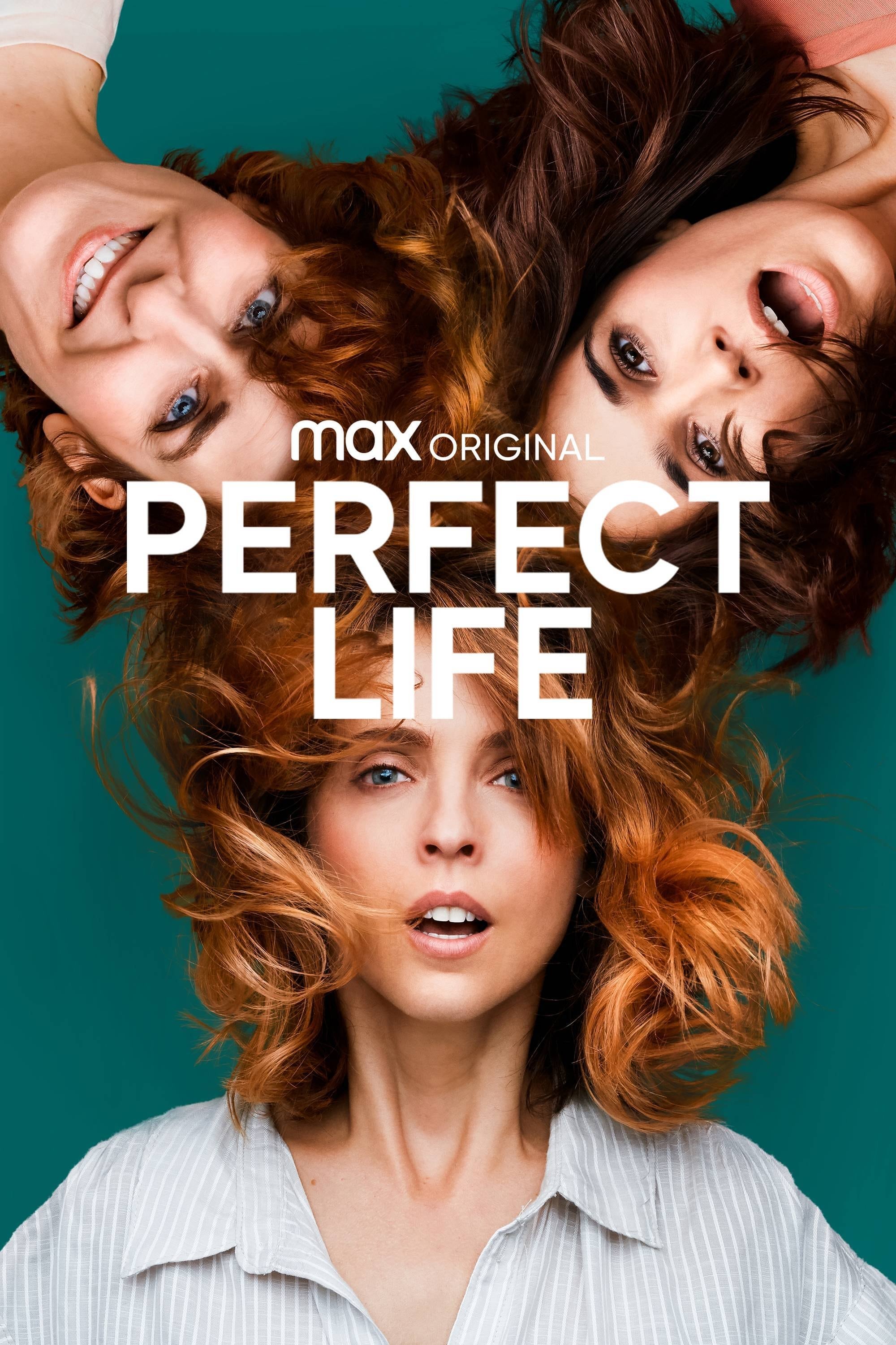 Caratula de Vida perfecta 
