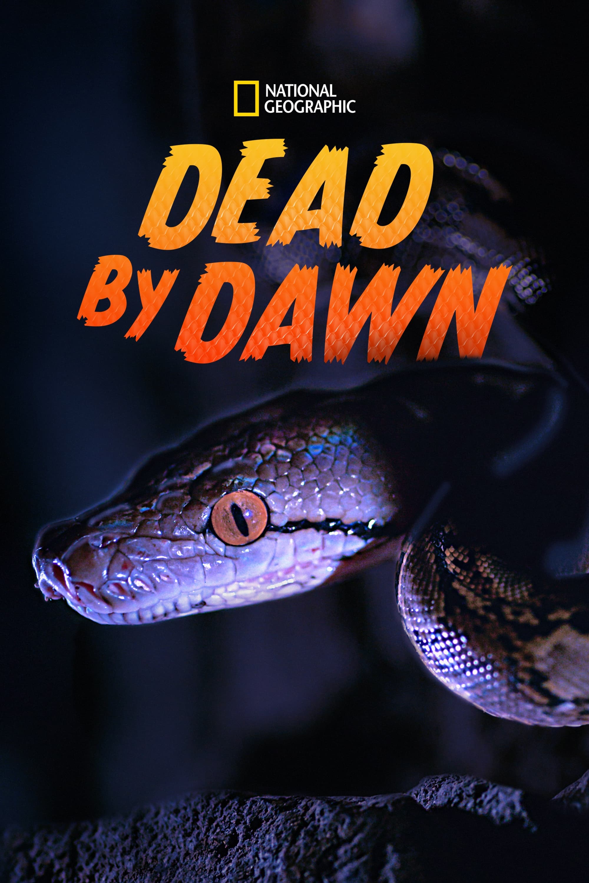 Caratula de Dead By Dawn 