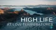 Caratula de High life at low temperatures