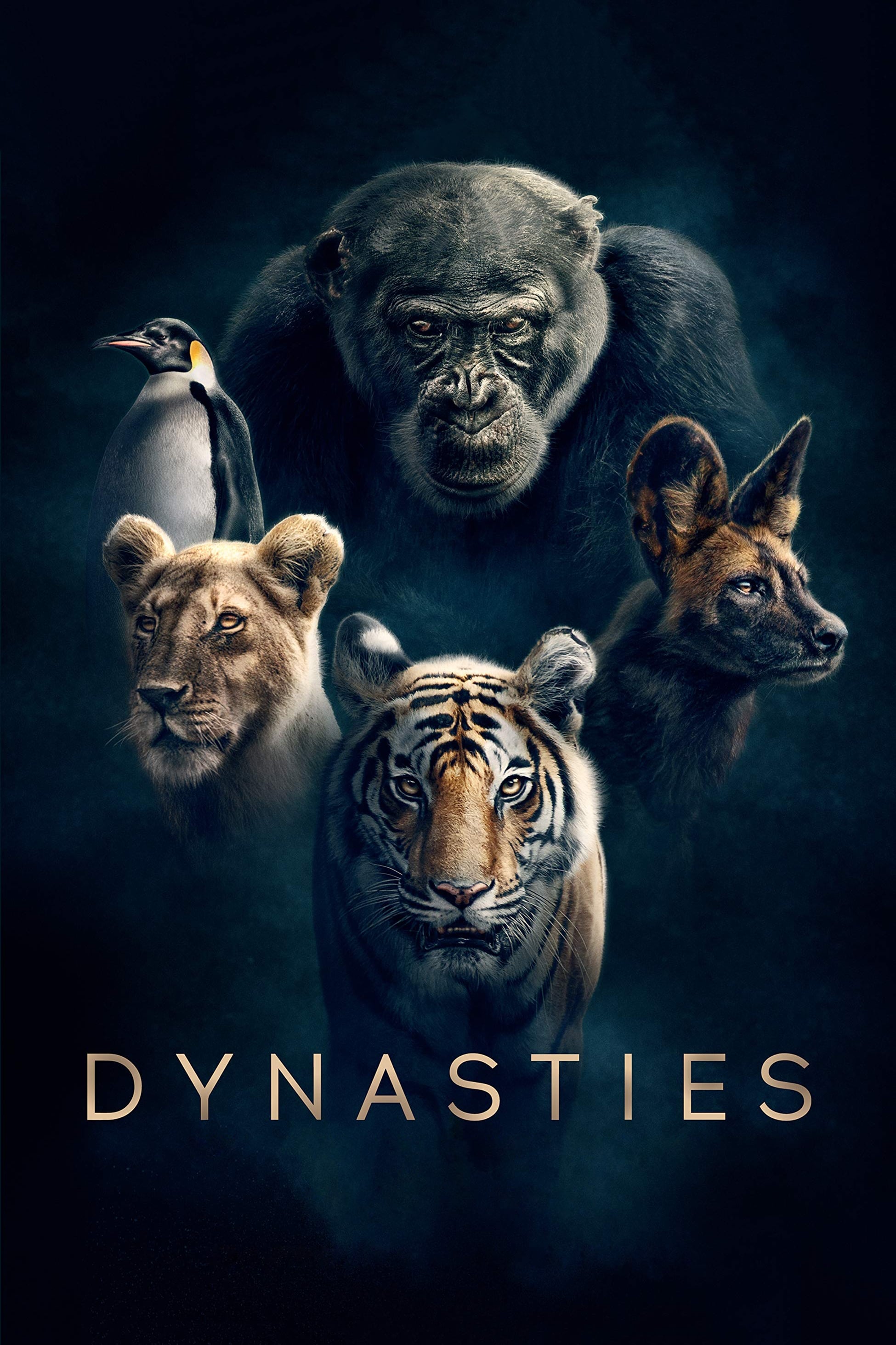 Caratula de Dynasties