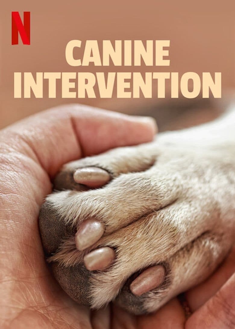 Caratula de Canine Intervention 