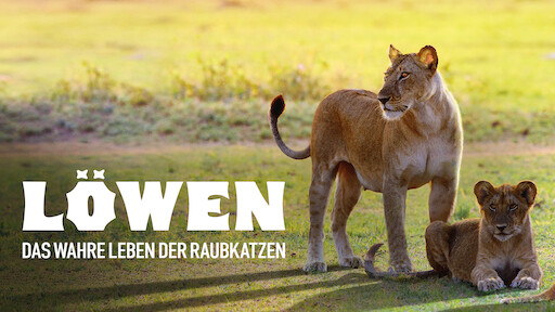 Caratula de Lions – Mothers’ fight for survival