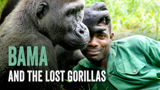 Caratula de Bama and the Lost Gorillas 
