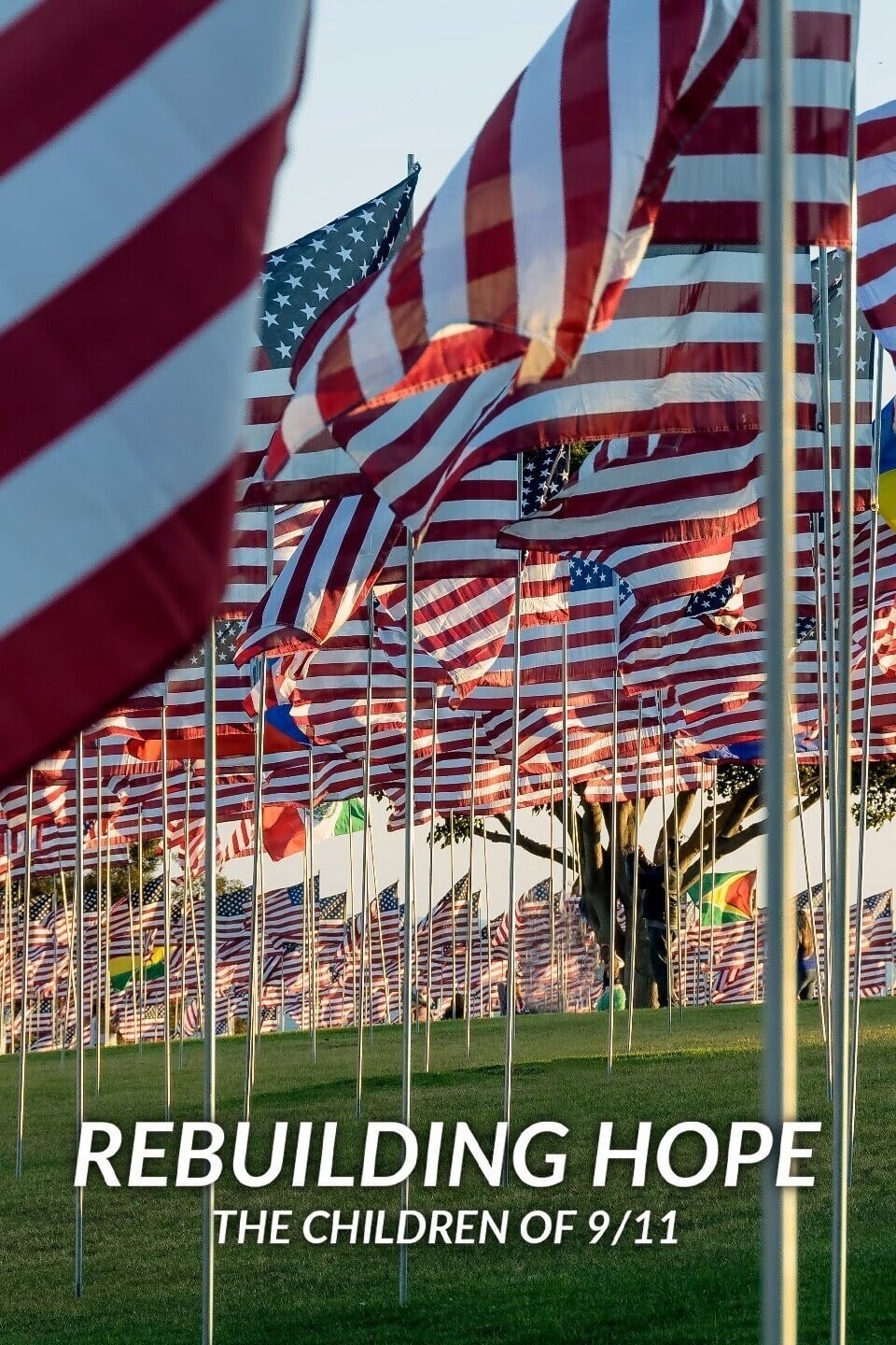 Caratula de Rebuilding Hope: The Children Of 9/11