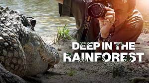 Caratula de Deep in the rainforest 