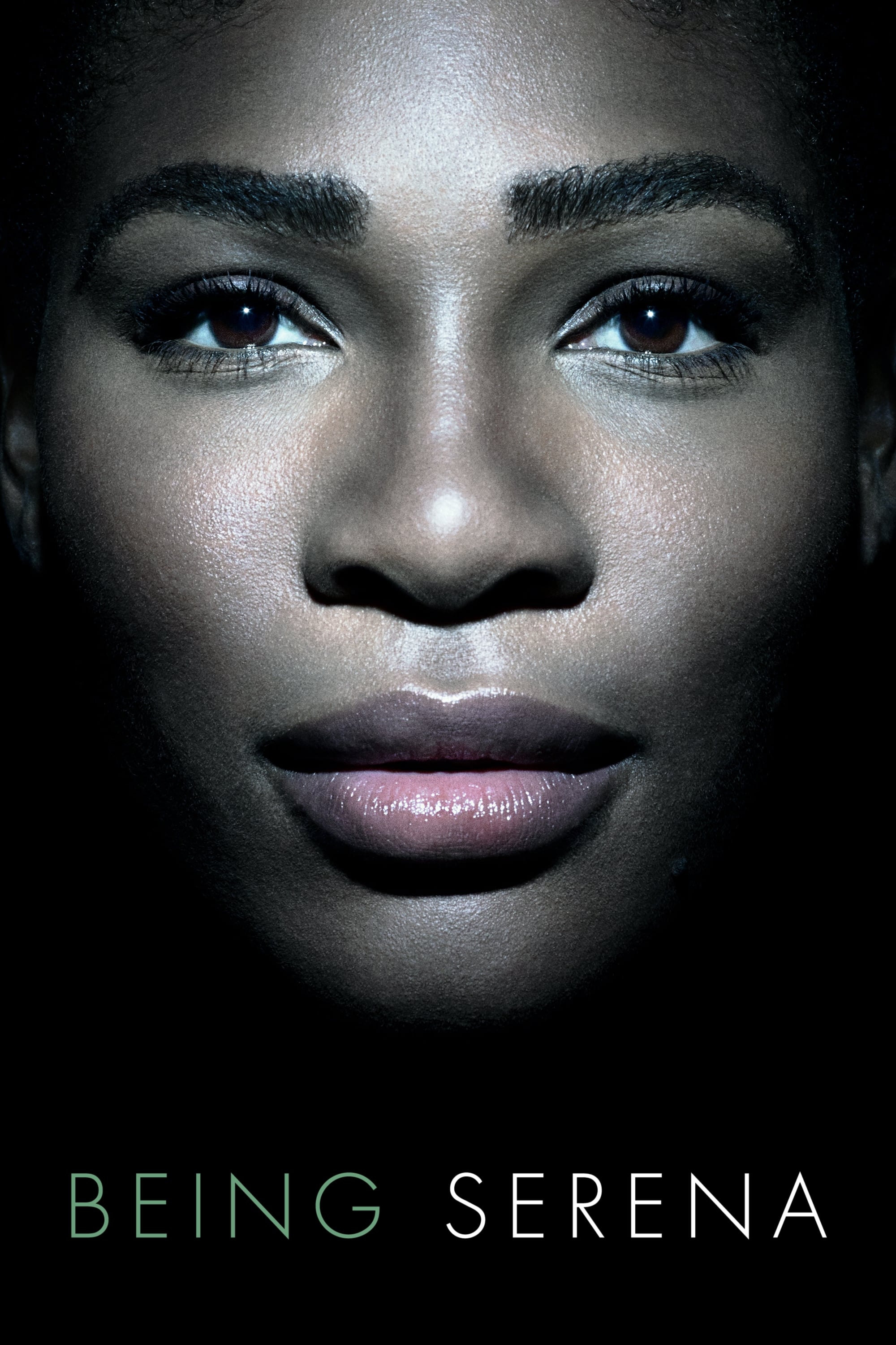 Caratula de Being Serena 