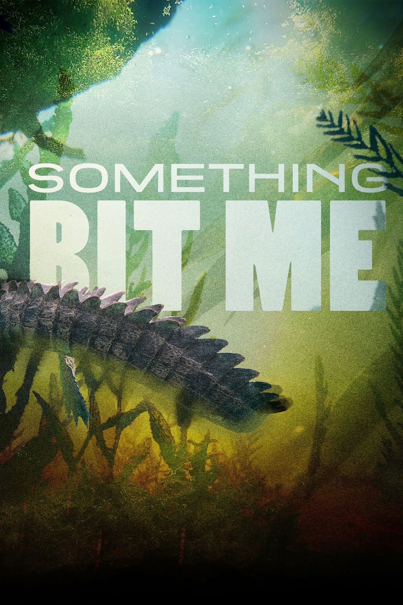 Caratula de Something Bit Me! 