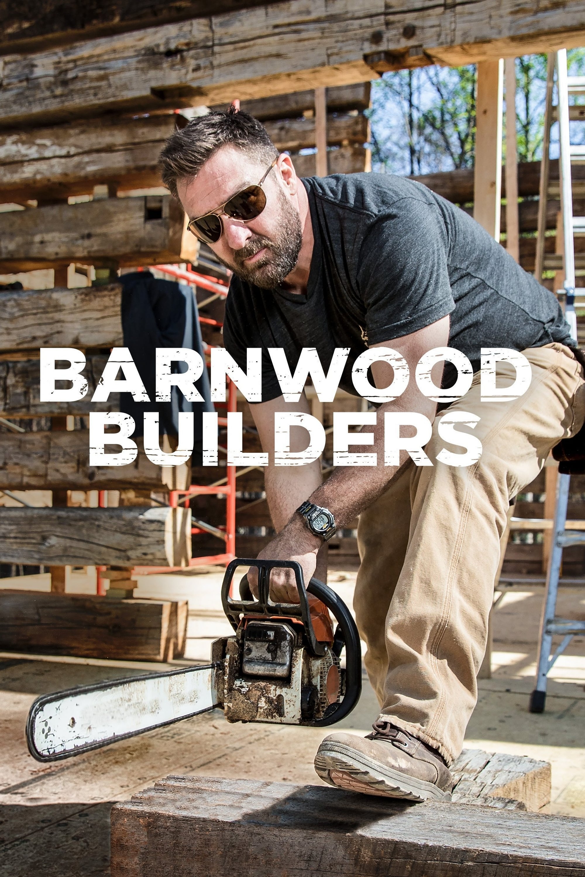 Caratula de Barnwood Builders 